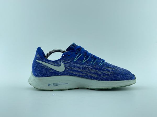 NIKE ZOOM PEGASUS 39
